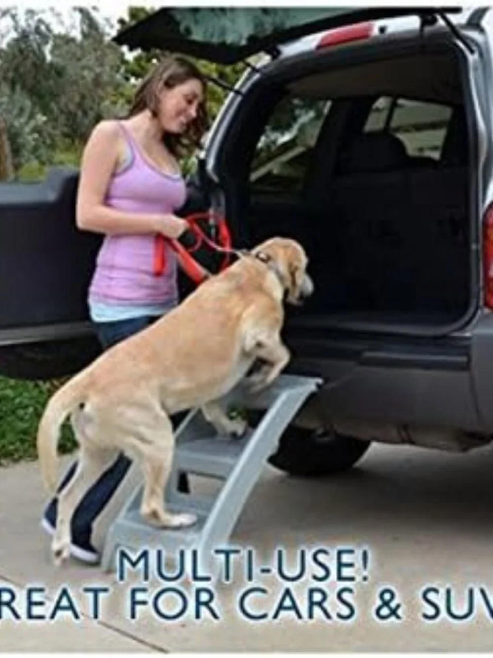 Booster Bath Steps for Dog Bath